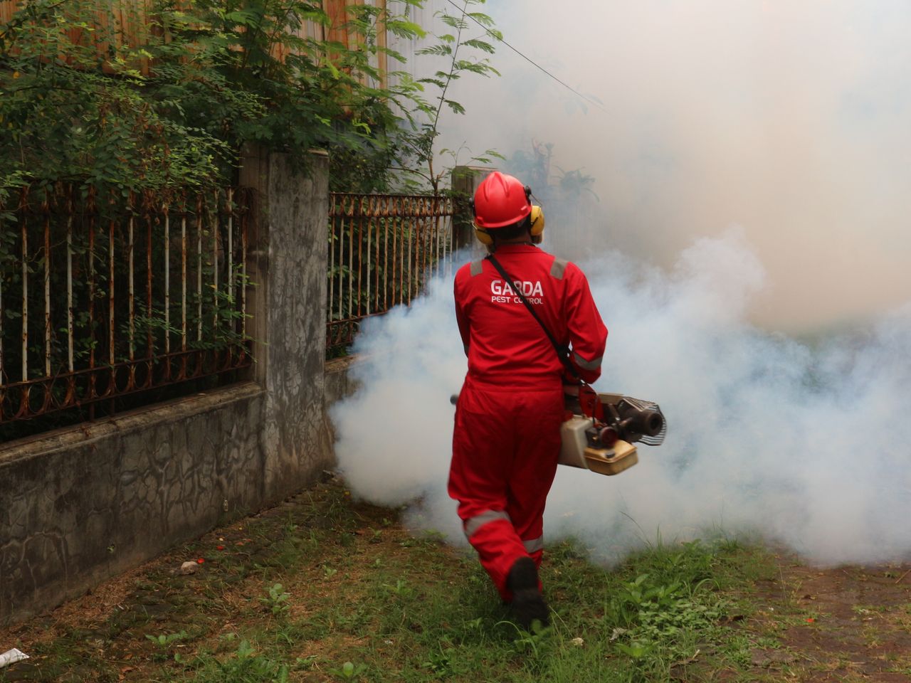 team-03 A pest control worker fogging in an outdoor space with smoke to eliminate pests.